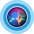 Mainly Used Logo